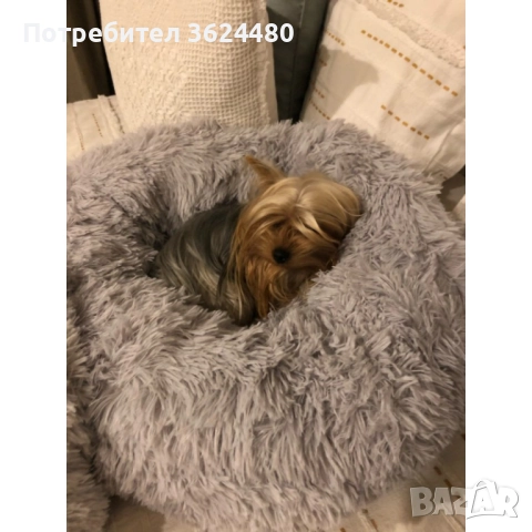 Пухено гнездо легло за куче или котка 3164, снимка 3 - За кучета - 52774656