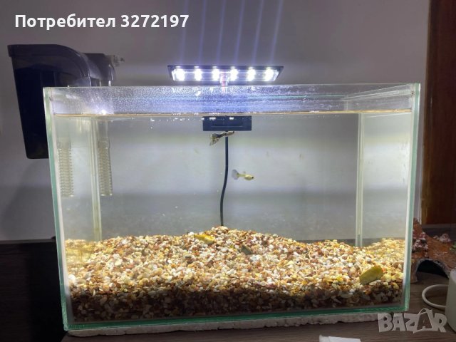 LED водоустойчива лампа,бяла светлина подходяща и за водни растения, снимка 3 - Оборудване за аквариуми - 43153787