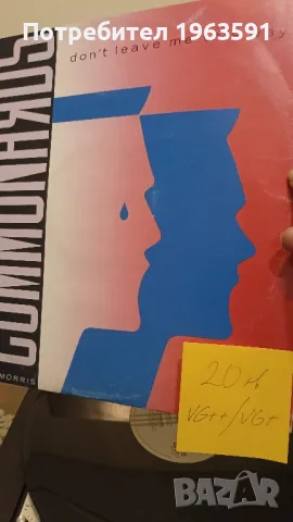 грамофонни плочи, снимка 5 - Грамофонни плочи - 49599304