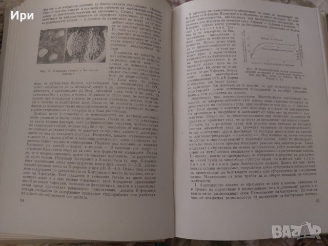 Микробиология, снимка 4 - Учебници, учебни тетрадки - 38244201