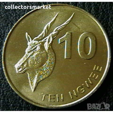 10 нгве 2012, Замбия