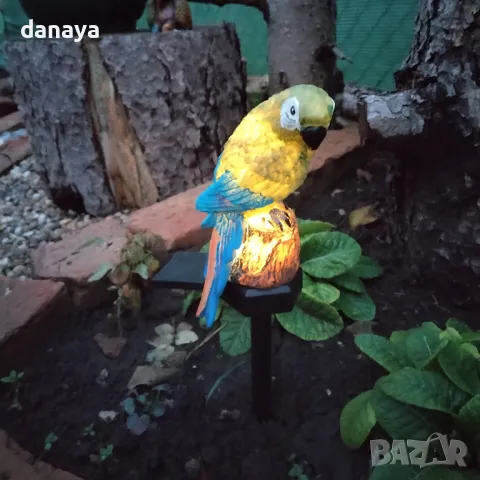 5445 Градинска соларна лампа Папагал, снимка 2 - Градински мебели, декорация  - 47937070