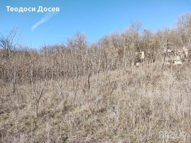 Продавам земеделска земя , снимка 4 - Земеделска земя - 53243811