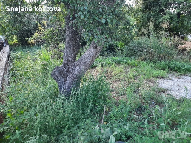 заменям джип 4х4 за място във село Трекляно,граничещо със реката