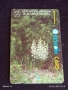 Две фонокарти БЕТКОМ, БУЛ ФОН Тема ОРХИДЕИ,РОДОПСКО ЛАЛЕ за КОЛЕКЦИЯ ДЕКОРАЦИЯ 12591, снимка 4