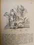 Донъ Кихотъ Ламаншски - Мигелъ де Сервантесъ (1939, Луксозна изработка, Богато илюстровано издание), снимка 17