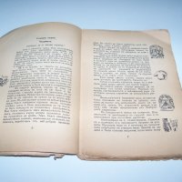 "100 000 Защо" книга за развиване на детето от 1931г., снимка 3 - Детски книжки - 37161853