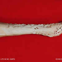Резба на кост., снимка 4 - Антикварни и старинни предмети - 44899151