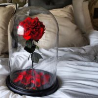 роза в стъкленица , снимка 3 - Романтични подаръци - 43262217