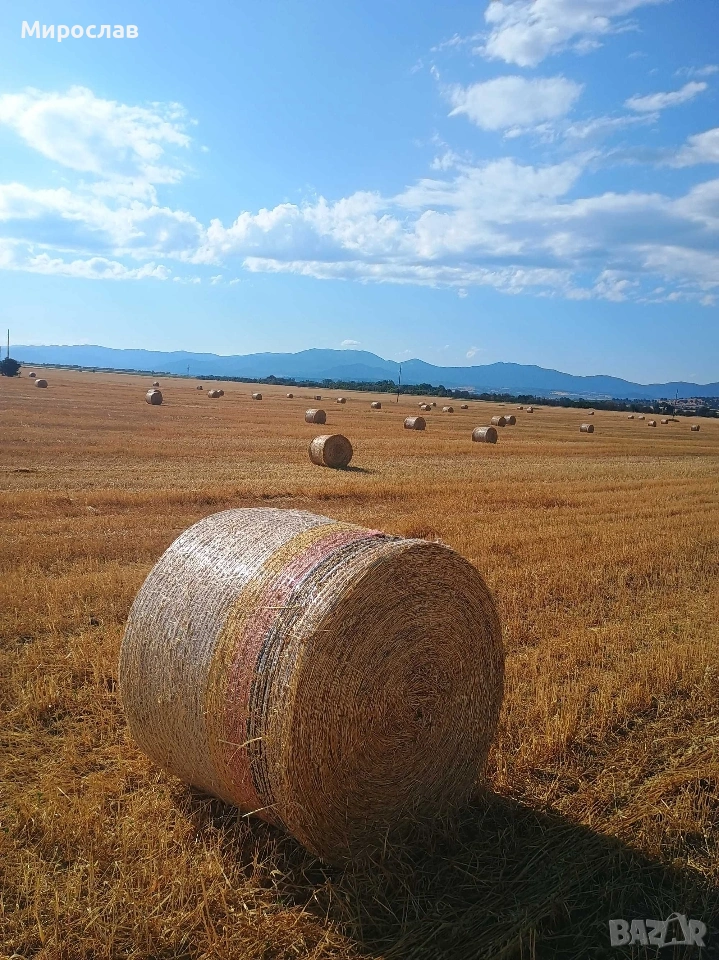 Купувам РУЛОНИ бали, снимка 1