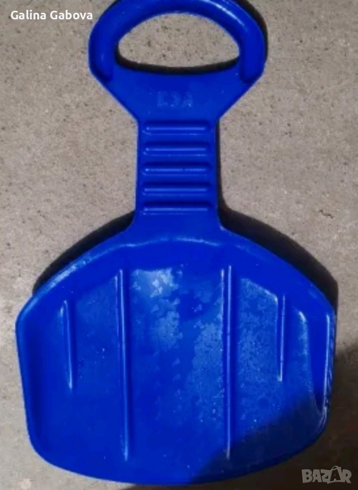 Шейна, снимка 1