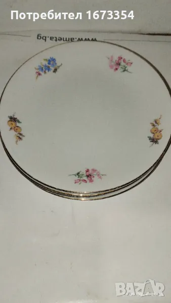 Чиний, снимка 1