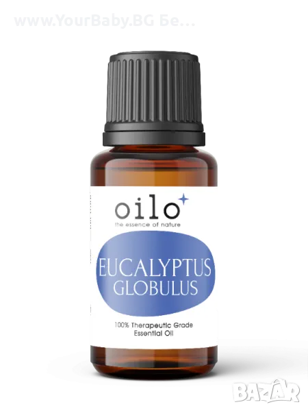 Oilo БИО Етерично Масло от Евкалипт глобулус - Eucalyptus Globulus Oilo 5 мл., снимка 1