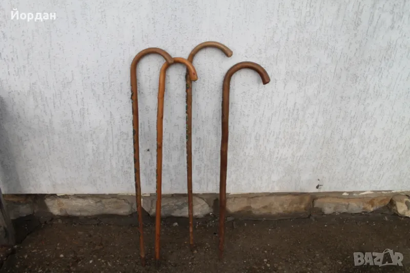 Немски Австрийски туристически бастуни, снимка 1