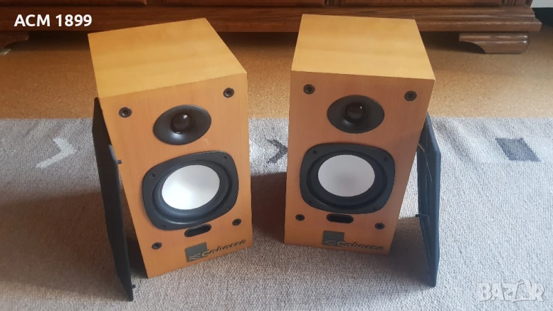 Cabasse Fregate 300, снимка 1