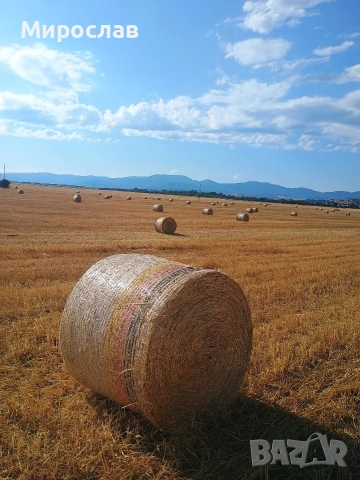 Купувам РУЛОНИ бали