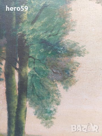 Стара маслена картина(Пейзаж-19 век), снимка 6 - Картини - 37879518