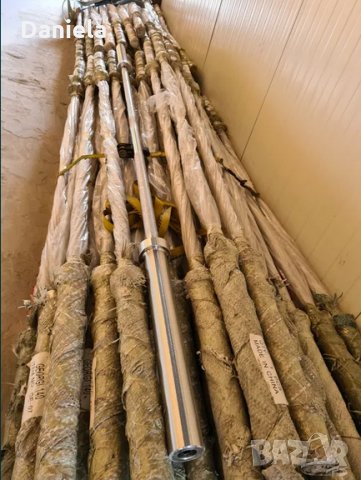 Лост олимпийски 220см ф50  bar професионален Лост, снимка 3 - Фитнес уреди - 33168838