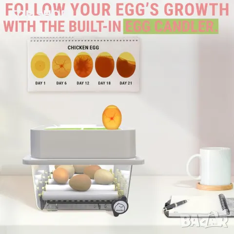 Инкубатор автоматичен Okköbi OBI-12 Инкубатор, снимка 4 - Други стоки за животни - 49157010