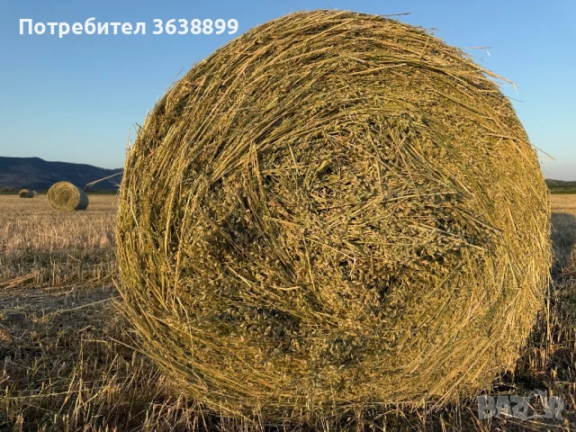 Рулонни бали люцерна,ливадно сено,овес,просо!, снимка 4 - За селскостопански - 50854833