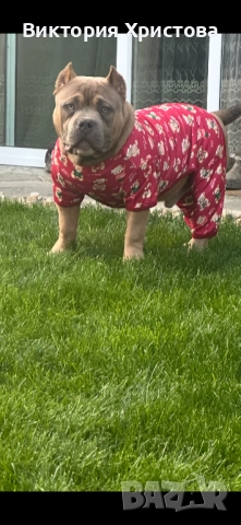 Були покет, снимка 3 - Други - 52839074