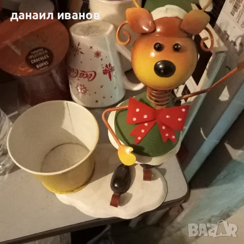 саксия еленче , снимка 1