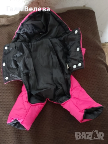 Дрехи за малко куче , снимка 2 - Пинчер - 52636678