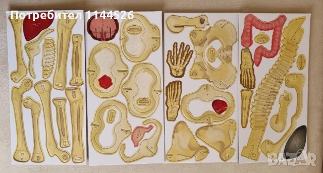 Две книги конструктори "Човешкото тяло" и "Ракета" , снимка 3 - Конструктори - 51235396