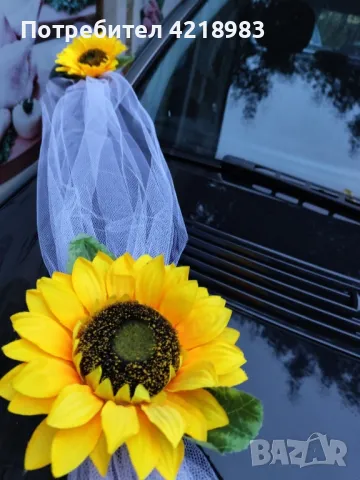 Украса за кола НАМАЛЕНА НА 20 ЛВ!, снимка 2 - Други - 47943181