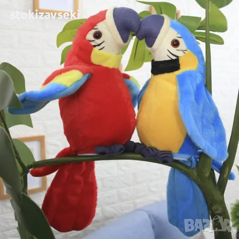 Реджи говорещия папагал с махащи крила , снимка 1