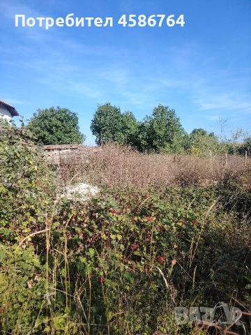 парцел Добрева чешма 45000€