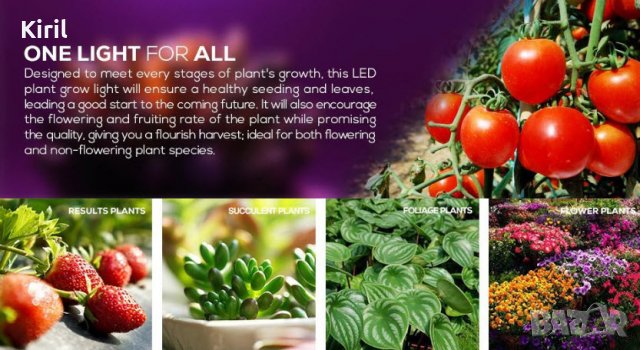 Растеж на растенията LED фито лампа крушка  5W 220V E27, снимка 5 - Стайни растения - 27633708
