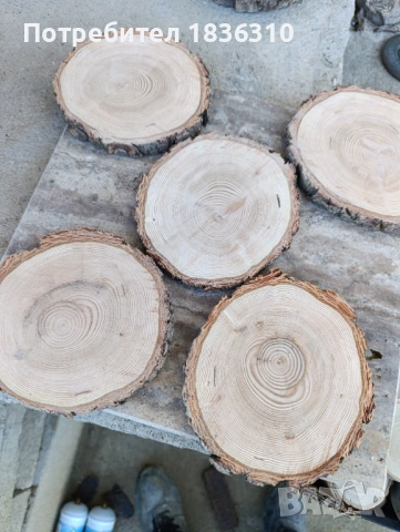 Дървени шайби бор