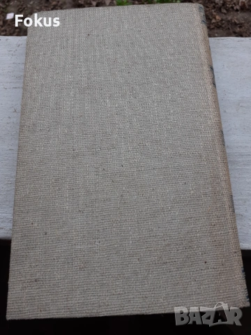 Стара немска книга, снимка 5 - Антикварни и старинни предмети - 53490410