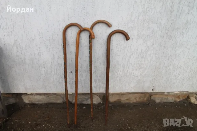 Немски Австрийски туристически бастуни