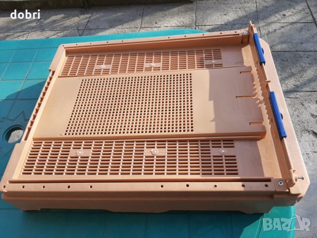 Дъно  за кошер , снимка 6 - Други животни - 27597270