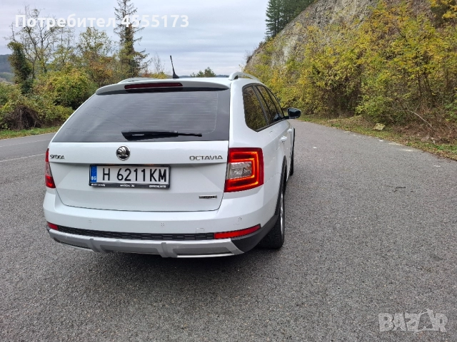 Skoda Octavia Scout DSG 4x4, , снимка 5 - Автомобили и джипове - 52307056
