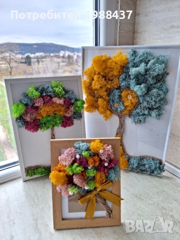 Картини от скандинавски мъх, снимка 7 - Картини - 52662752