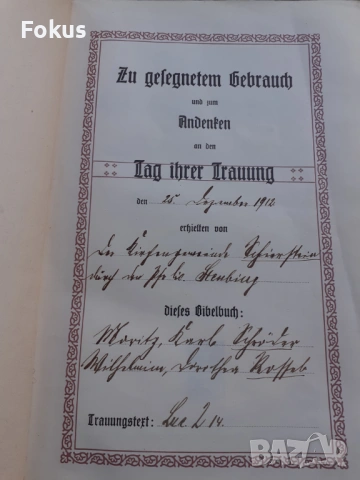 МНОГО СТАРА НЕМСКА БИБЛИЯ 1887 ГОДИНА, снимка 4 - Антикварни и старинни предмети - 53479165