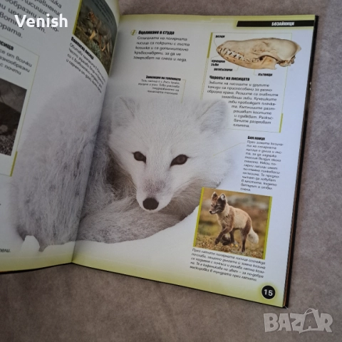 Животните на Европа и Нощните животни, снимка 9 - Детски книжки - 52483867