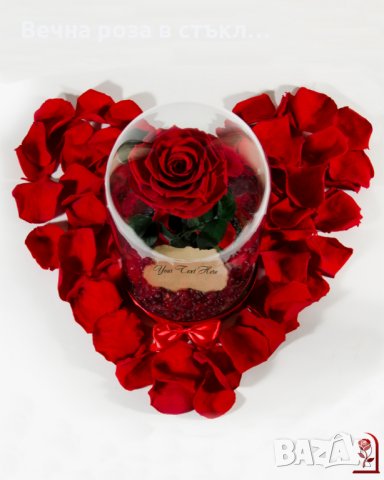 Вечна Роза (ЕСТЕСТВЕНА) в ГОЛЯМА стъкленица / Уникален подарък за рожден ден на жена, снимка 2 - Декорация за дома - 32673595
