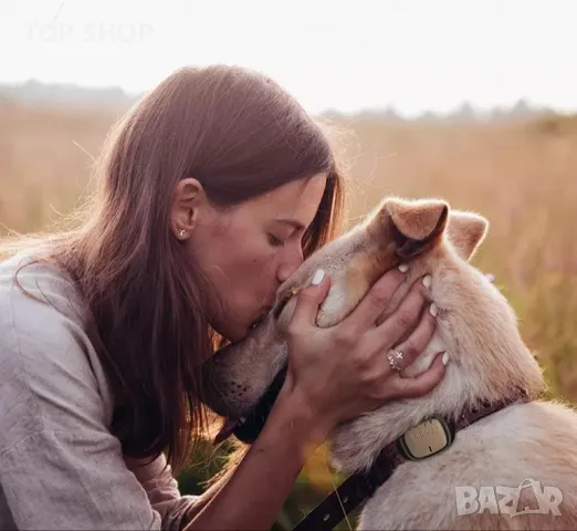 Kippy EVO GPS локатор за кучета, снимка 3 - За кучета - 48748597