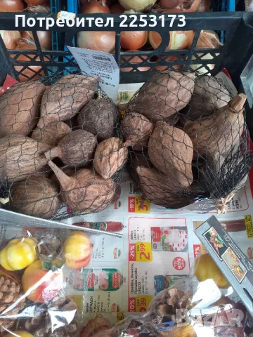 Пакети сушен баобаб и други за декор, снимка 5 - Декорация за дома - 49271760