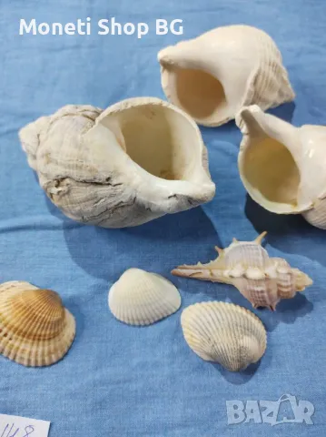 Океански дарове., снимка 2 - Други ценни предмети - 48999717