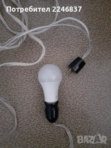 Крушка, снимка 7 - Крушки - 49099267