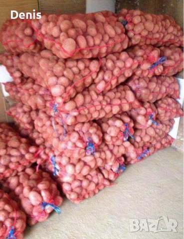 Плетени чували гаци (рашел) - многократна употреба за земеделски култури, снимка 3 - Други - 43757455