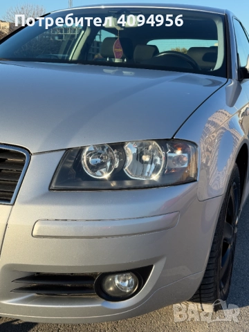 Audi A3 8P 1.6i 102, снимка 9 - Автомобили и джипове - 52528180