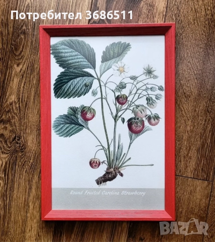 Винтидж принт на диви ягоди в дървена рамка