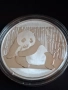 1 oz. Сребро Китайска Панда 2015, снимка 1