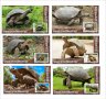 Чисти блокове Фауна Гигантски Костенурки от Галапагос 2019 от Тонго